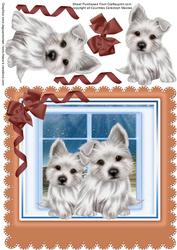 White Terrier Pups