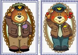 Air Force Bears