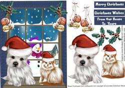 Pet's Christmas