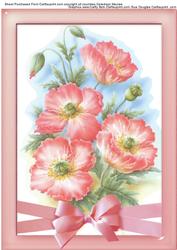 Beautiful Pink Poppys