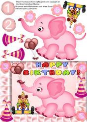 Nelli's Birthday Bash ( Girl )