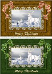 White Stags at Christmas