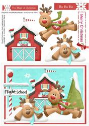 Reindeer Flight School