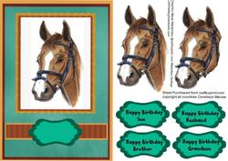 Beautiful Horses Head