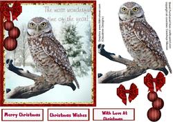 Beautiful Barn /tawney Owl