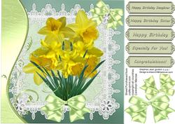 Daffodil Blooms