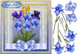 Irises Delight
