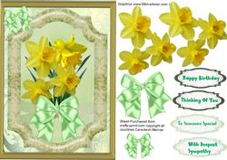 Lovely Spring Daffodills