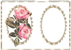 Victorian Pink Roses Incert