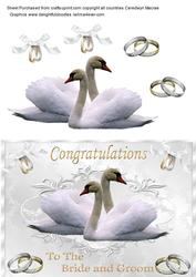 Beautiful Wedding Swans