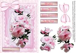 Beautiful Pink Azaleas