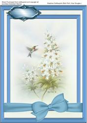 Humming Bird in Blue Frame