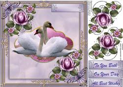 Swan Serenade