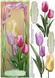 Tulips Delight