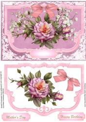 Cameo Rose in a Pink Frame.