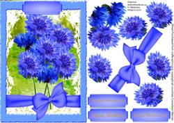 Beautiful Blue Corn Flowers