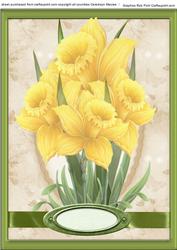 Beautiful Daffodils Standing Proud