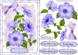 Lovely Lilac Petunia's