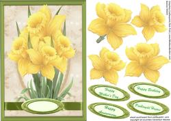 Lovely Daffodill's Standing Proud A5