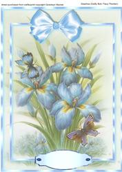 Beautiful Iris with Butterflys