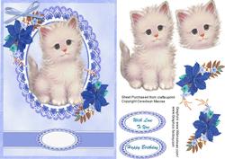 Beautiful Kitty Love