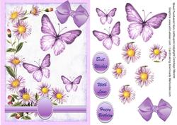 Lovely Micklemas Daisys and Butterflys