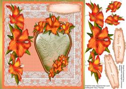 Beautiful Hibiscus in Orange