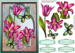 Lovely Pink Spring Tulips