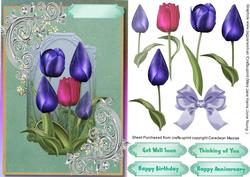 Inspirational Liliac Tulips