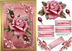 Beautiful Dusky Pink Rose and Babys Breath