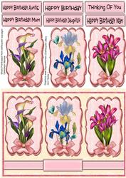 Lovely Spring Flower on Brackets