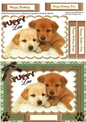 Beautiful Cuddly Puppy Love