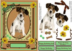 Lovely Proud Jack Russell Dog