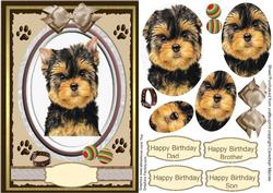 A Beautiful Yorkshire Terrier Pup (pyramarge)