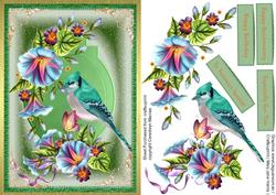 Beautiful Bird and Morning Glory
