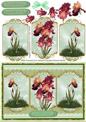 Lovely Bearded Irises on Gilded Plaques
