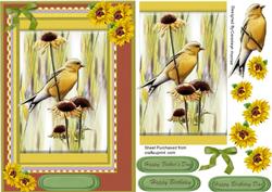 Beautiful Yellow Tits and Sunflowers