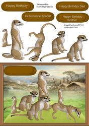 Meerkats on the Lookout
