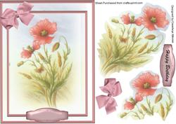 Lovely Feathered Poppy