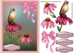 Lovely Bird on a Daisy