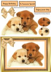 Georgious Labradore Pups in Gold Frame