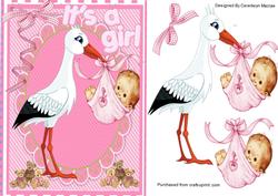 Lovely Stork with Baby Girl