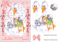 Lovely Stork Protecting the Baby Girl