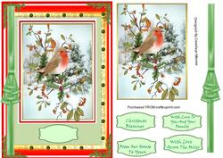 Beautiful Christmas Robin