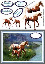Beautiful Mare and Colt