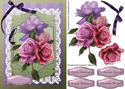 Beautiful Belleepoquel Roses