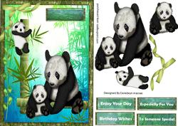 Beautiful Pandas Playing