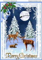 Beautifil Christmas Winter Scene