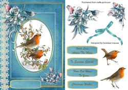 Lovely Robins and Winter Flowers