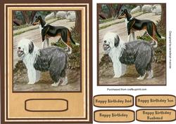 Beautiful Old English Sheep Dog ( Dulex )